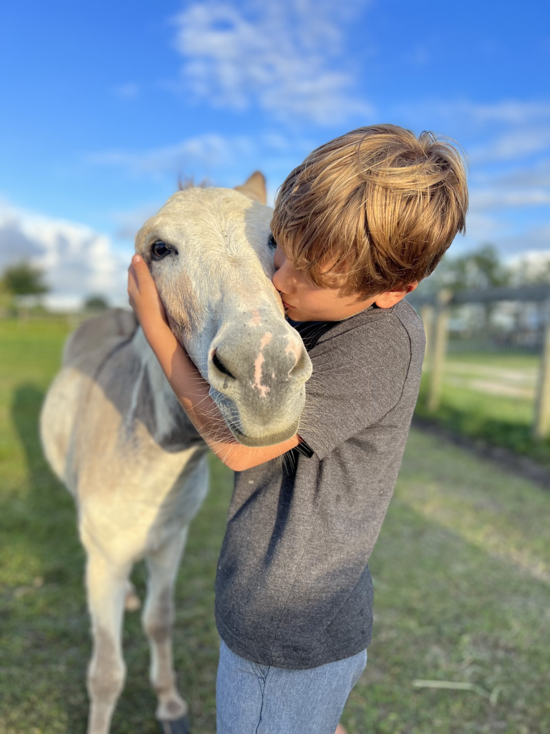 Create a Facebook Fundraiser for Florida Rescue Ranch Animals