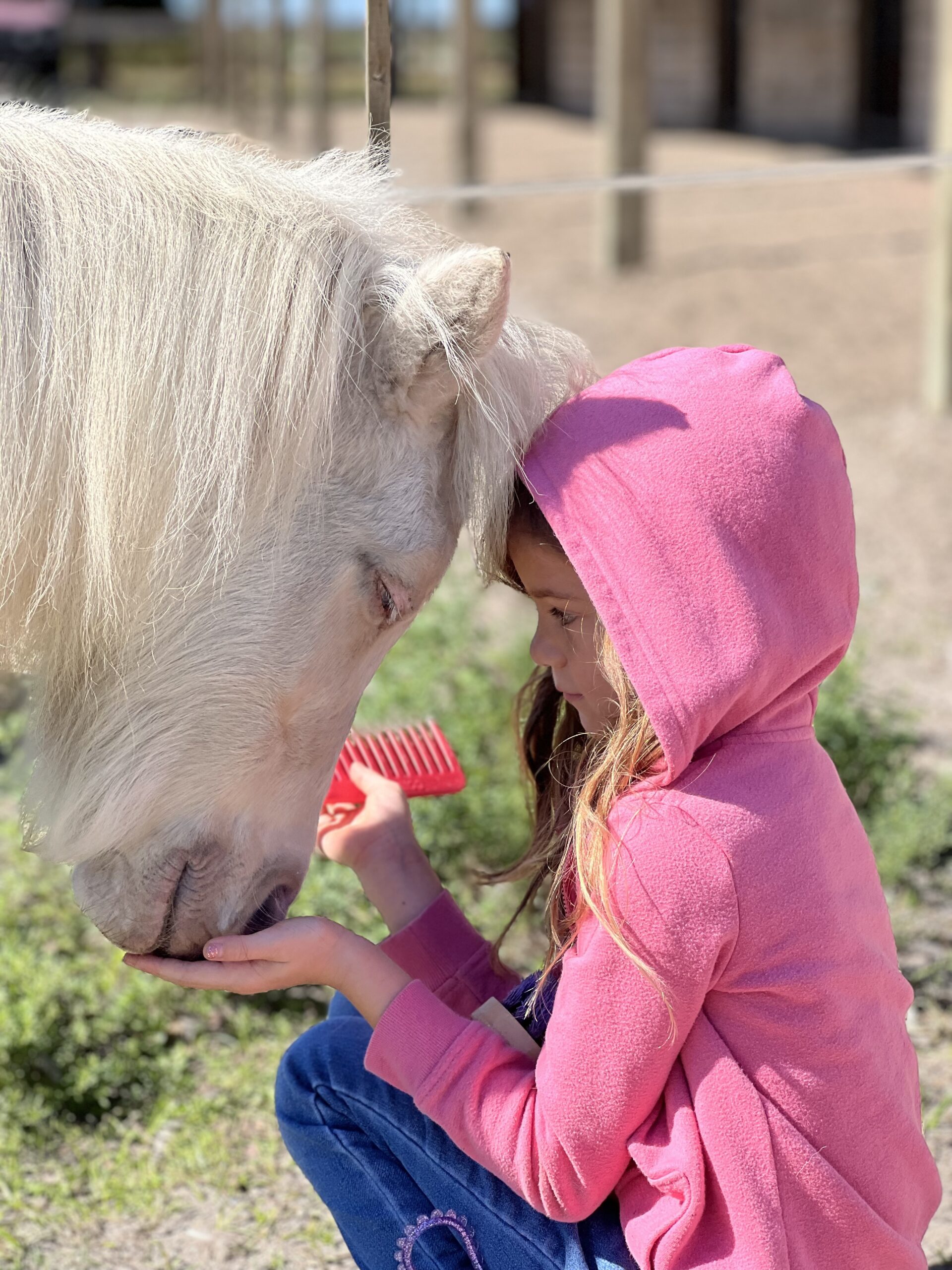 Learning Programs at Florida Rescue Ranch and Sanctuary