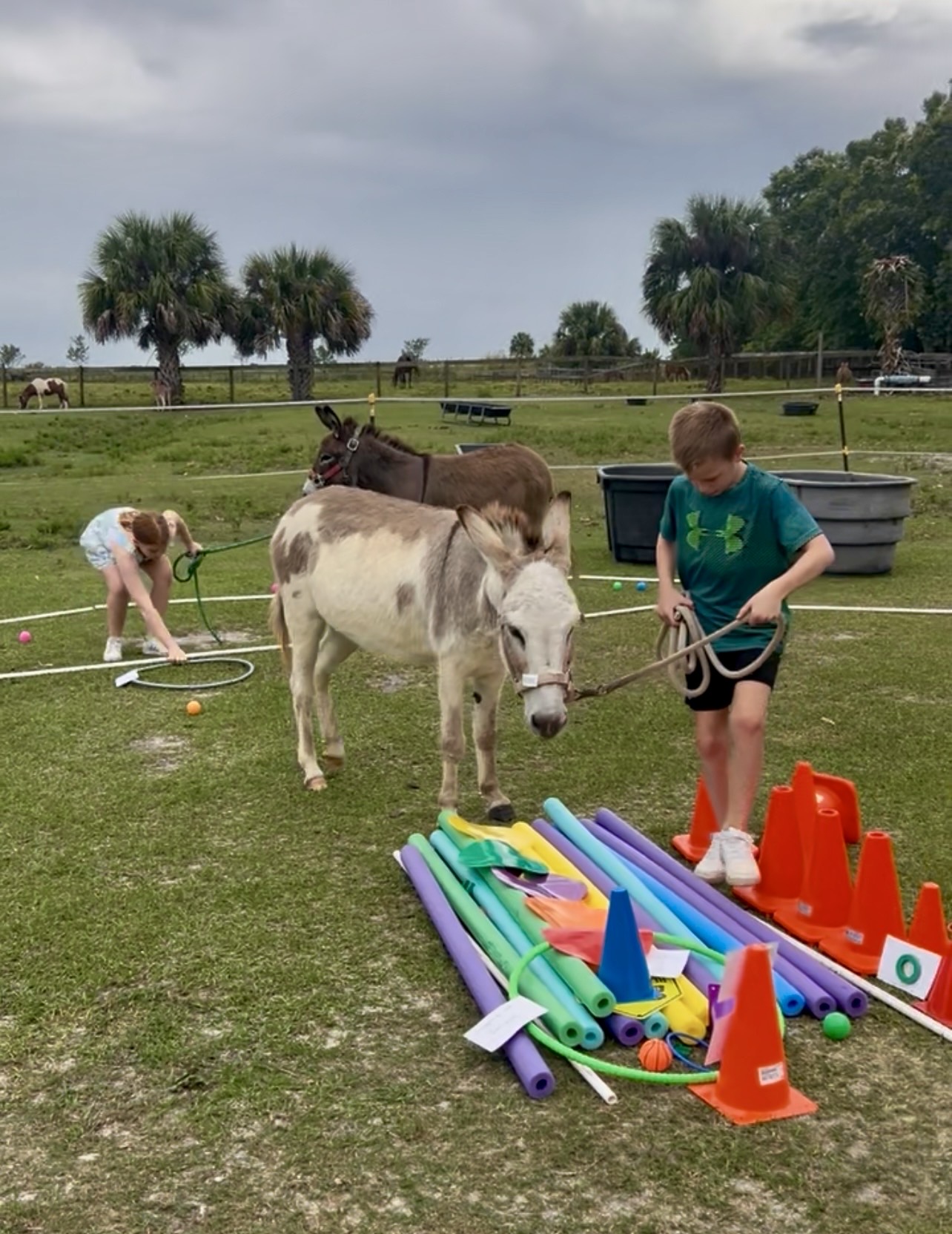Horse Powered Reading™ Learning Program at Florida Rescue Ranch